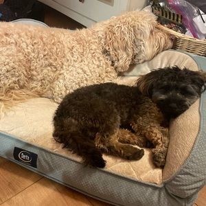 Meet your Posher, Isabella